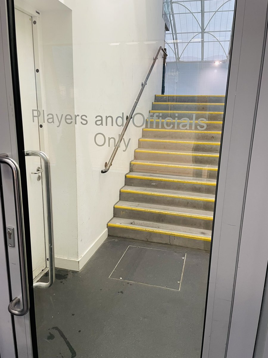 David Gray tweet media