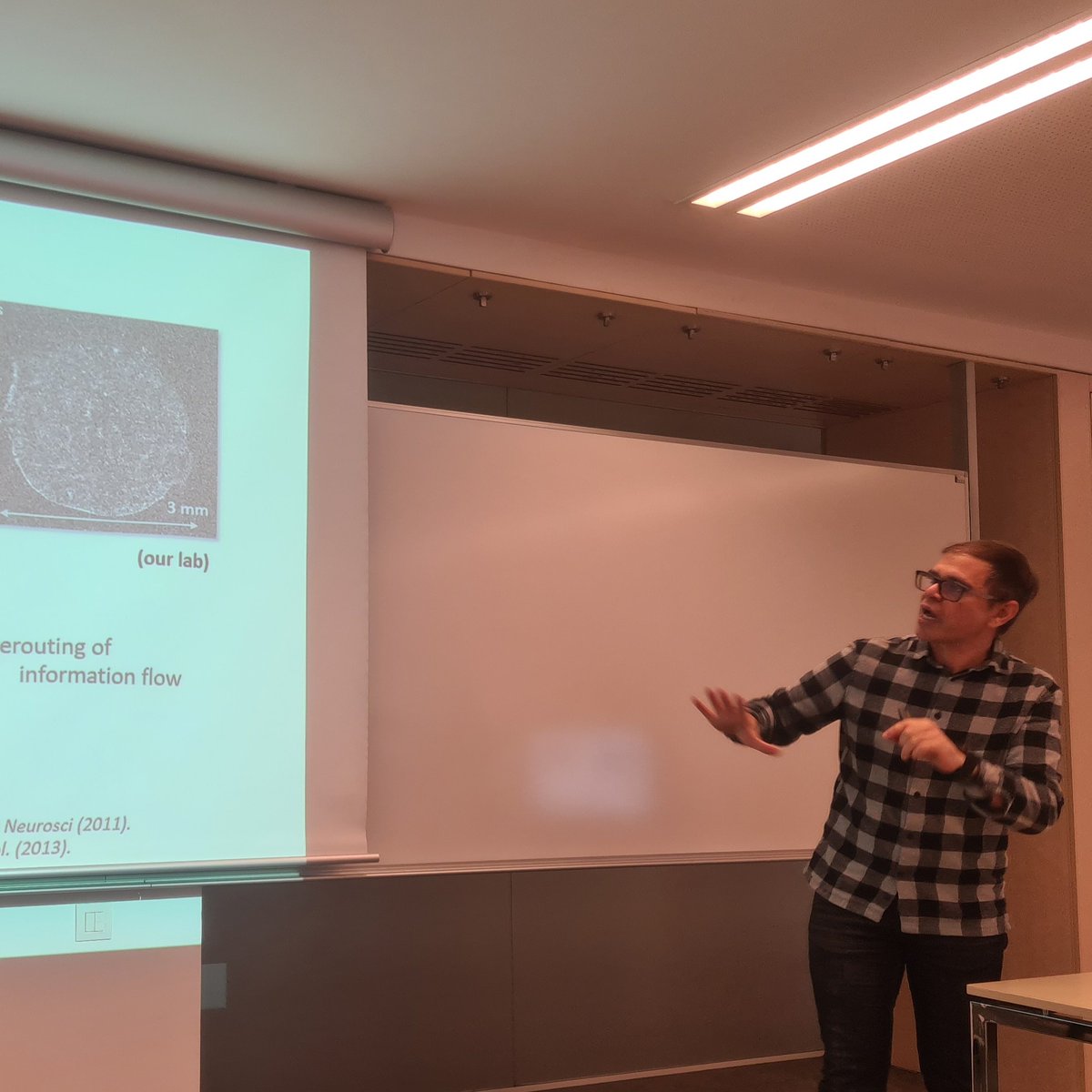 Multisensory Research Group (MRG) (@mrglabbcn) on Twitter photo Yesterday we had a fascinating CBC talk: Dr. Jordi Soriano soriano-lab.eu (Physics, UB) told us about self-organizing neuronal cultures, how they help us understand neural dynamics, neurological disease, and drive toy vehicles. Big thanks Jordi 👏👏👏 @cbcUPF <a href="/yeya_bcn/">Mireia Torralba</a> Yesterday we had a fascinating CBC talk: Dr. Jordi Soriano soriano-lab.eu (Physics, UB) told us about self-organizing neuronal cultures, how they help us understand neural dynamics, neurological disease, and drive toy vehicles. Big thanks Jordi 👏👏👏 @cbcUPF <a href="/yeya_bcn/">Mireia Torralba</a>