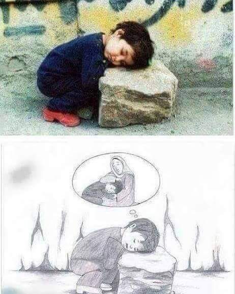 aliidrees25 tweet picture