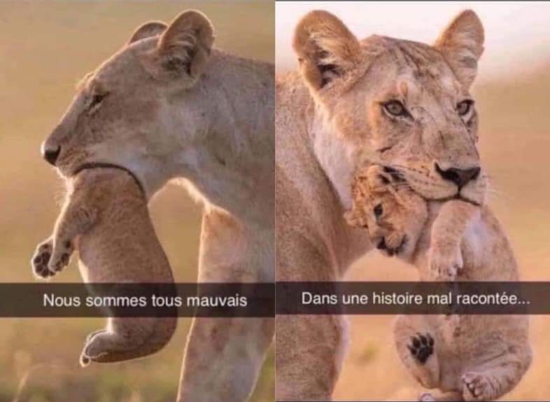 luca_varan's tweet photo. Je vais jamais raconté ma version. Ce qu’on vous a dis c’est ça croyez le https://t.co/C5r7dDnAQn