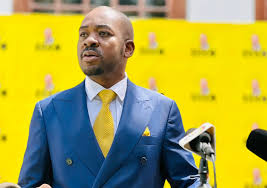 The High Court has dismissed an application by 14 CCC MPs challenging their recalls from Parliament by self proclaimed interim SG, Sengezo Tshabangu, the ruling has dealt a major blow to CCC leader Chamisa's control of the party. <a href="/clayton_shereni/">Clayton Shereni</a> <a href="/citezw/">CITE</a>  @CCCMasvingo
