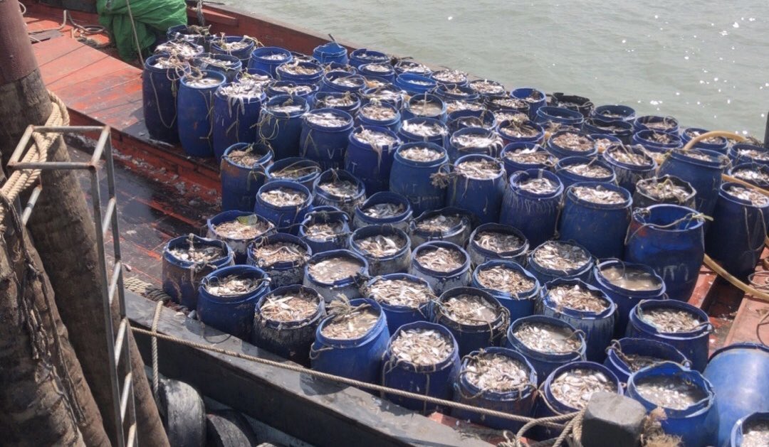 NKFISHMEAL's tweet photo. November 3 ,2023 https://t.co/ZAjJKkRojB