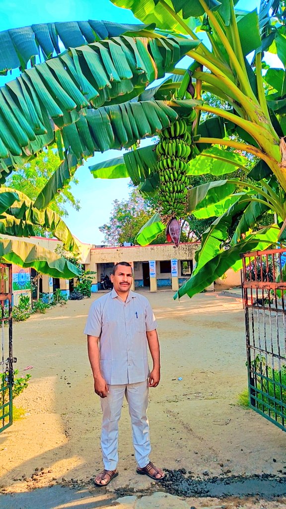 #सत्यम्_शिवम्_सुन्दरम्  पहल
#qualityeducation 
🌿🌸🌼🌺🌱 #हरित_पाठशाला
 #education 
#school  #nature 
#culture 
<a href="/narendramodi/">Narendra Modi</a>  <a href="/ashokgehlot51/">Ashok Gehlot</a> <a href="/DrBDKallaINC/">Dr. Bulaki Das Kalla</a>
✍️ <a href="/Amarsinghsir/">Amar Singh Saini</a>