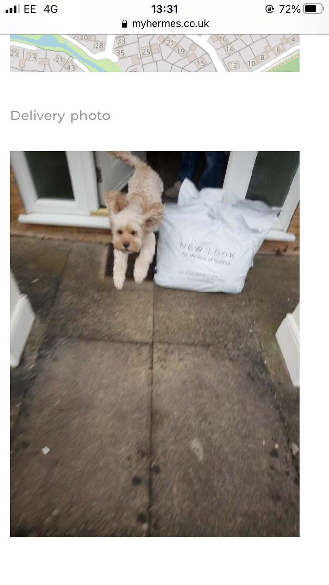 Pam Ambrose tweet media