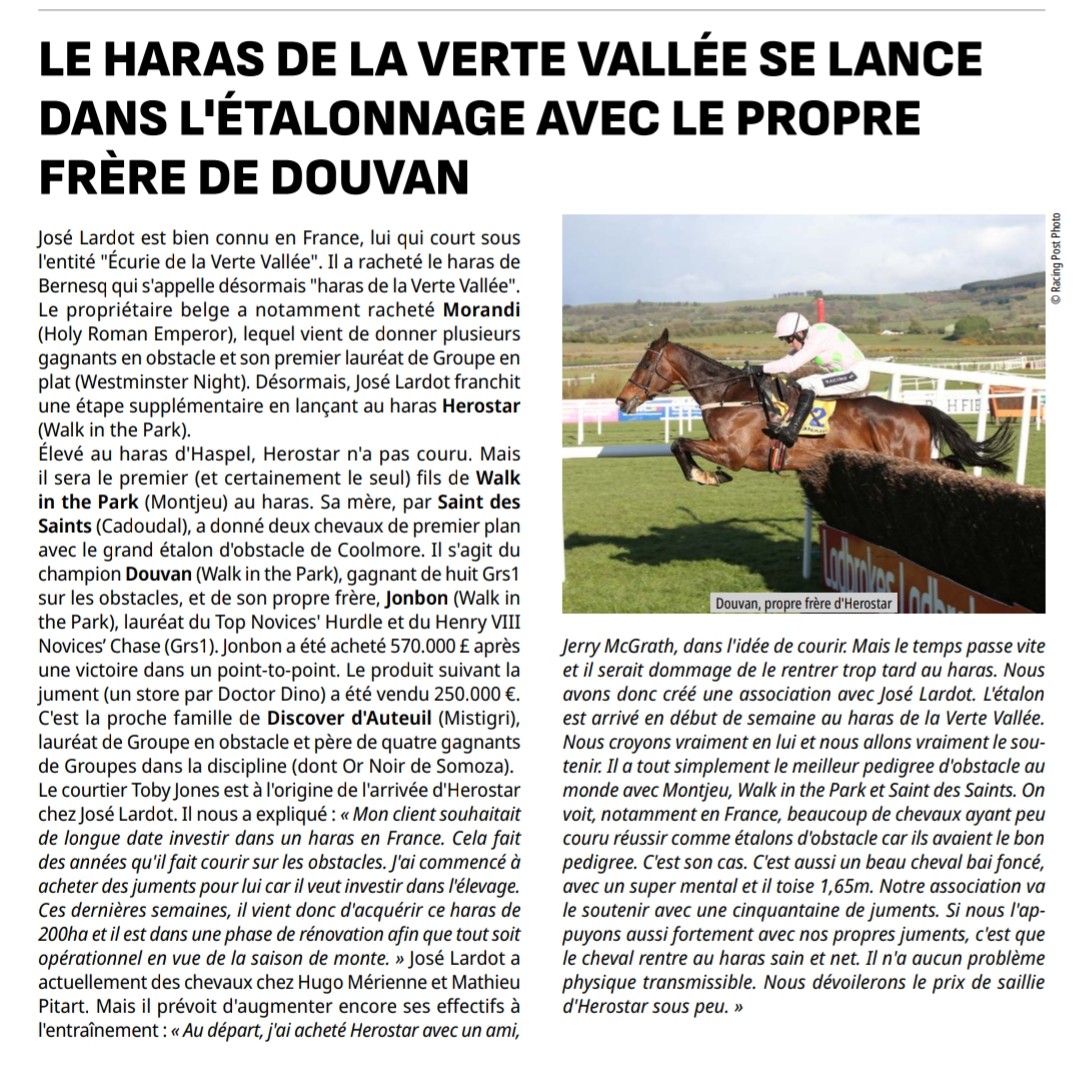 JonesToby86's tweet photo. 🚨New Sire alert 🚨
Need a Hero?
Looking for a Star?
HEROSTAR 🦸♀️🌟
Full brother to #Jonbon #Douvan
Walk In The Park X Saint des Saints
Really excited about this new project, don't hesitate to contact myself or @JerrymcGrath
For any info ☎️ https://t.co/hCW52j3XoH