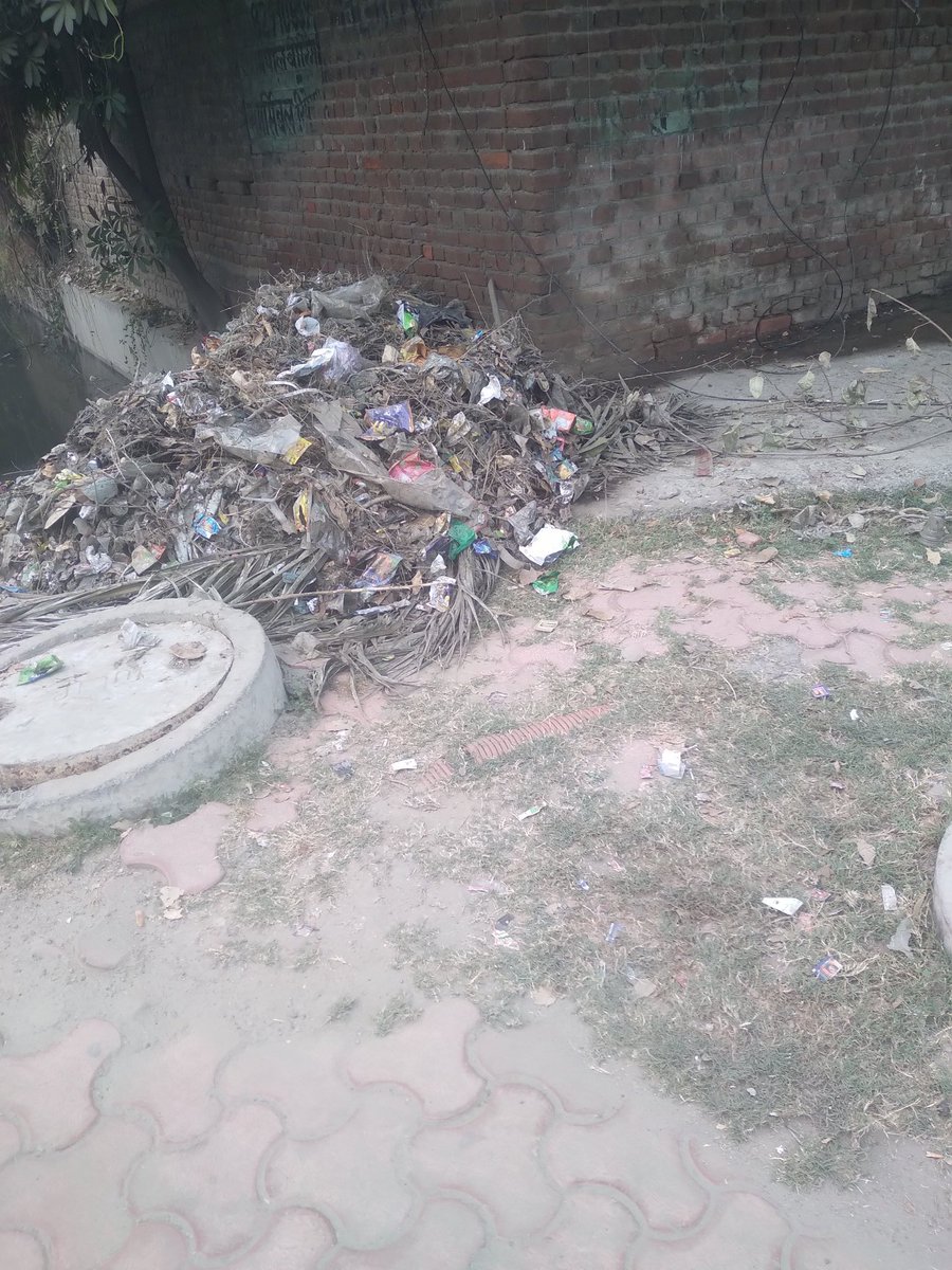 SurendraGupta_'s tweet photo. @CeoNoida @noida_authority status of cleaning in B block Sector 62, near Millenium Society and infront of it,near big drain. Federation of Sector 62 RWAs https://t.co/grWX2IAhFH