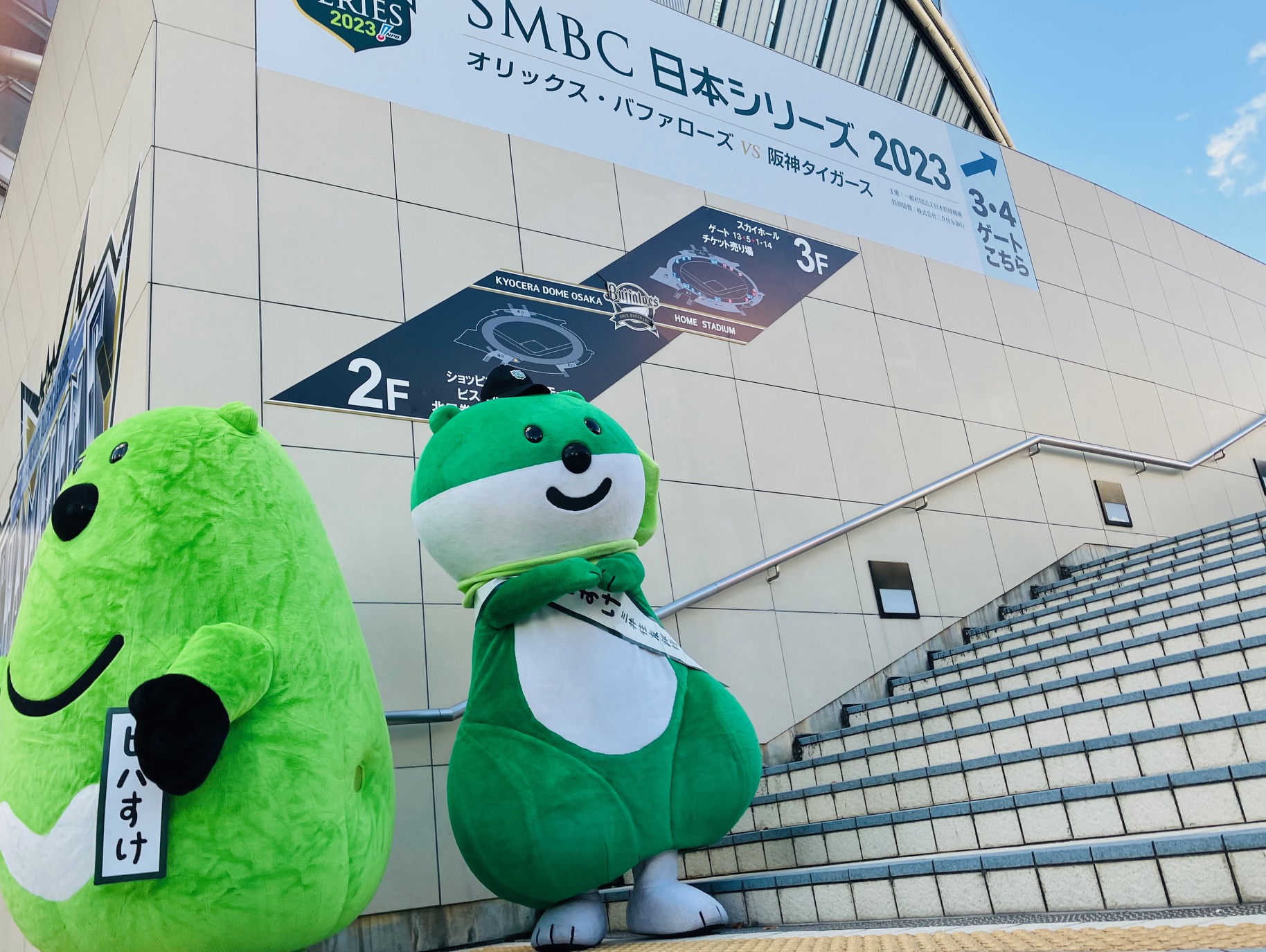 新品SMBC日本シリーズ2024 感度をありがとうキャンペーンミド