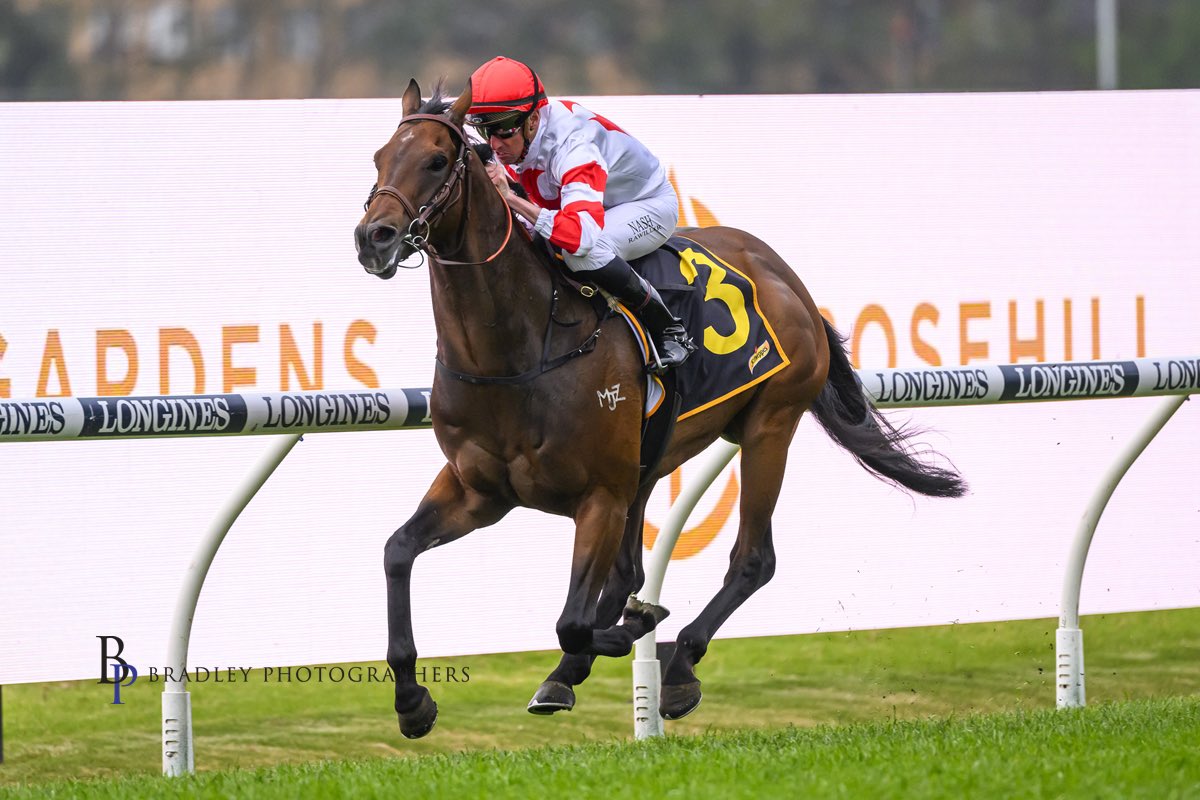 mcsmithracing's tweet image. WAY TO THE STARS 🌟 

Terrific performance by Way To The Stars this afternoon in the lucky last at @rosehillgardens under a great @nashhot steer. 

Congratulations to his fantastic group of owners! 

#TeamMCS