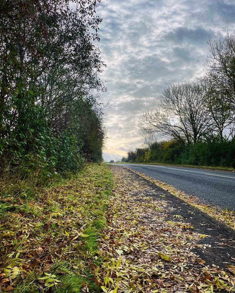 Gorgeous morning for a run!👊🏻#blowingthecobwebsaway #running #motivation #happyplace #mindfulness #wellbeing