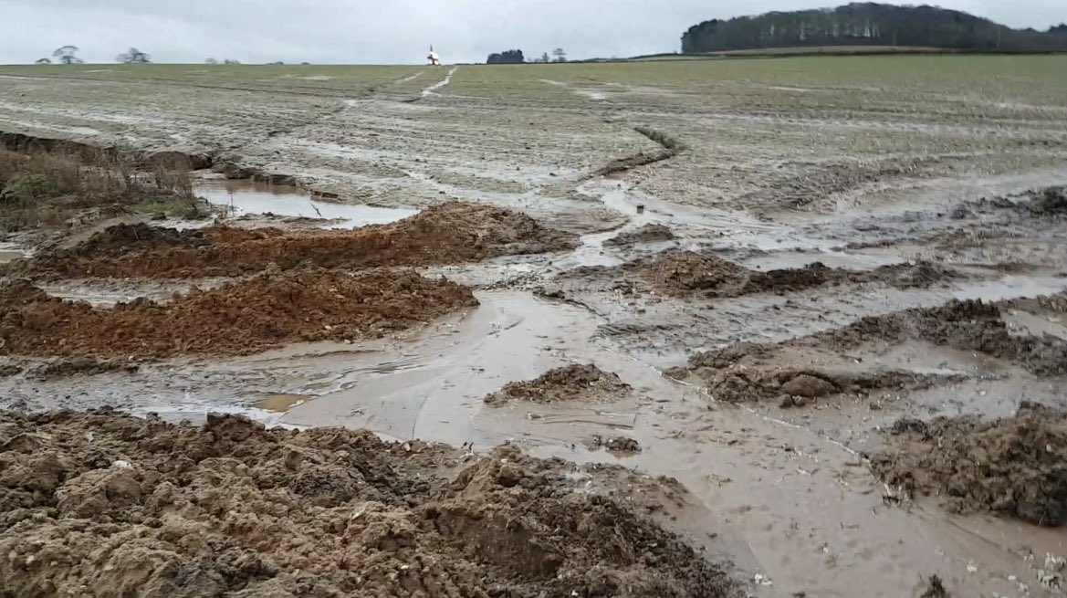 Deepdale Farm tweet media