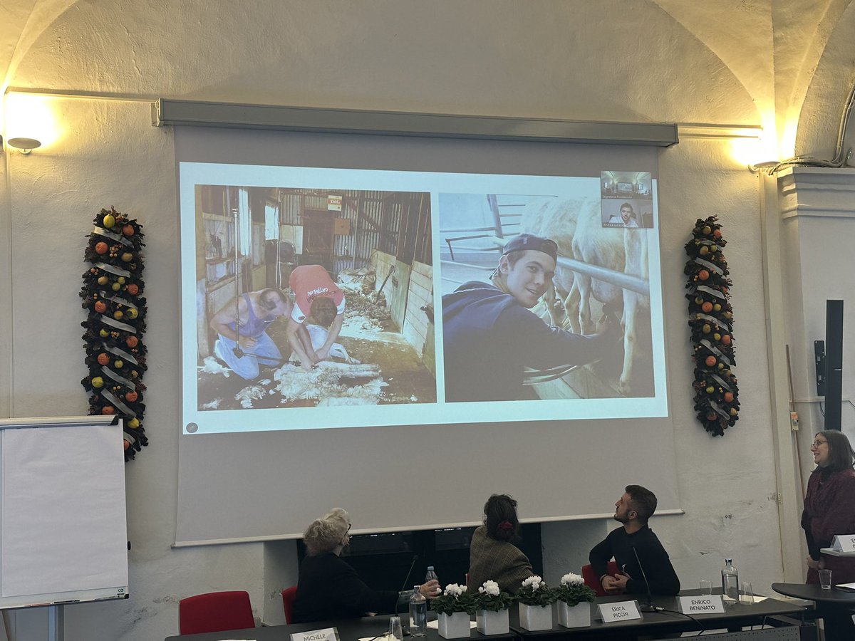 Francisco Marmolejo tweet media