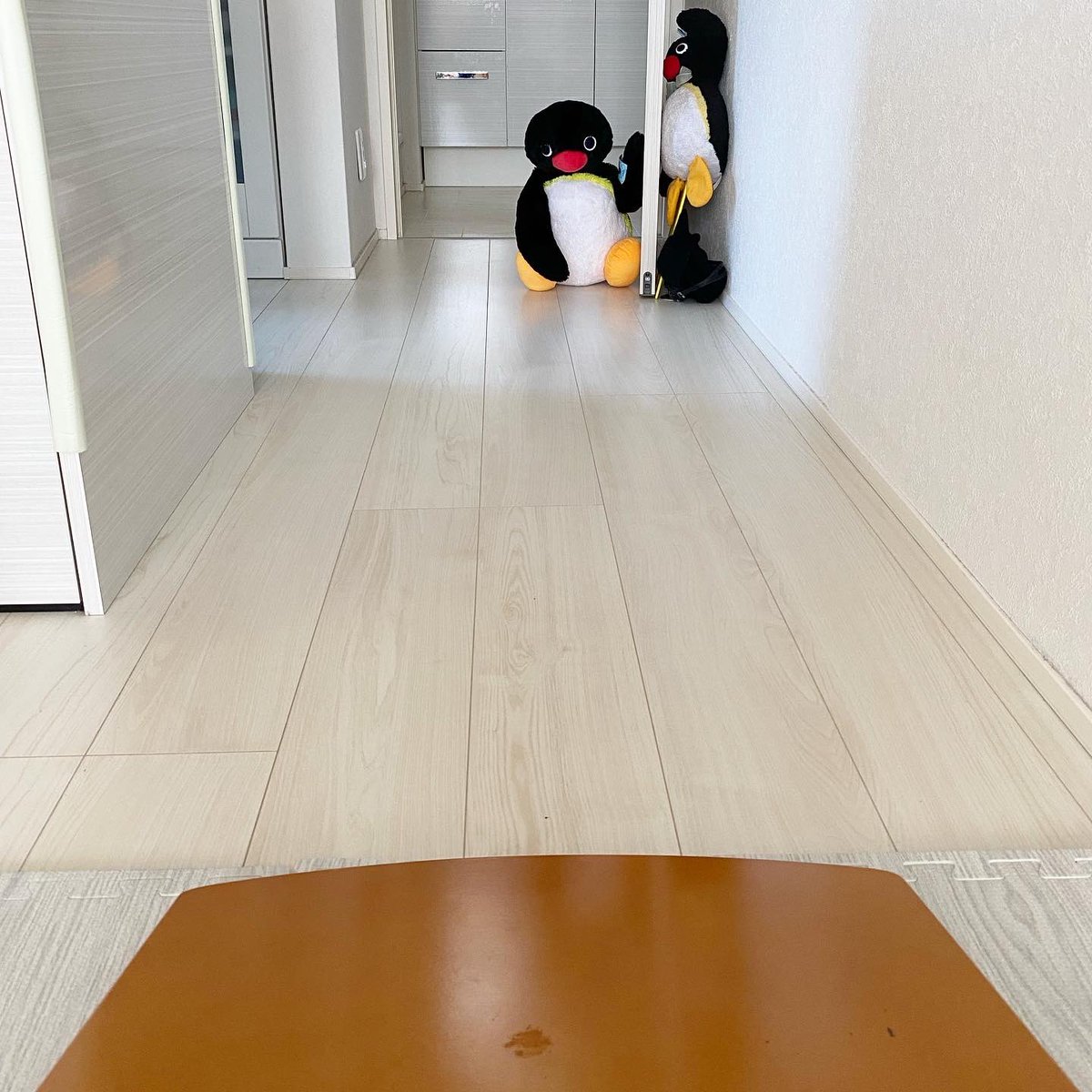 pingmyping's tweet photo. 🐧😎🏂 https://t.co/TKUTjjZtJf
