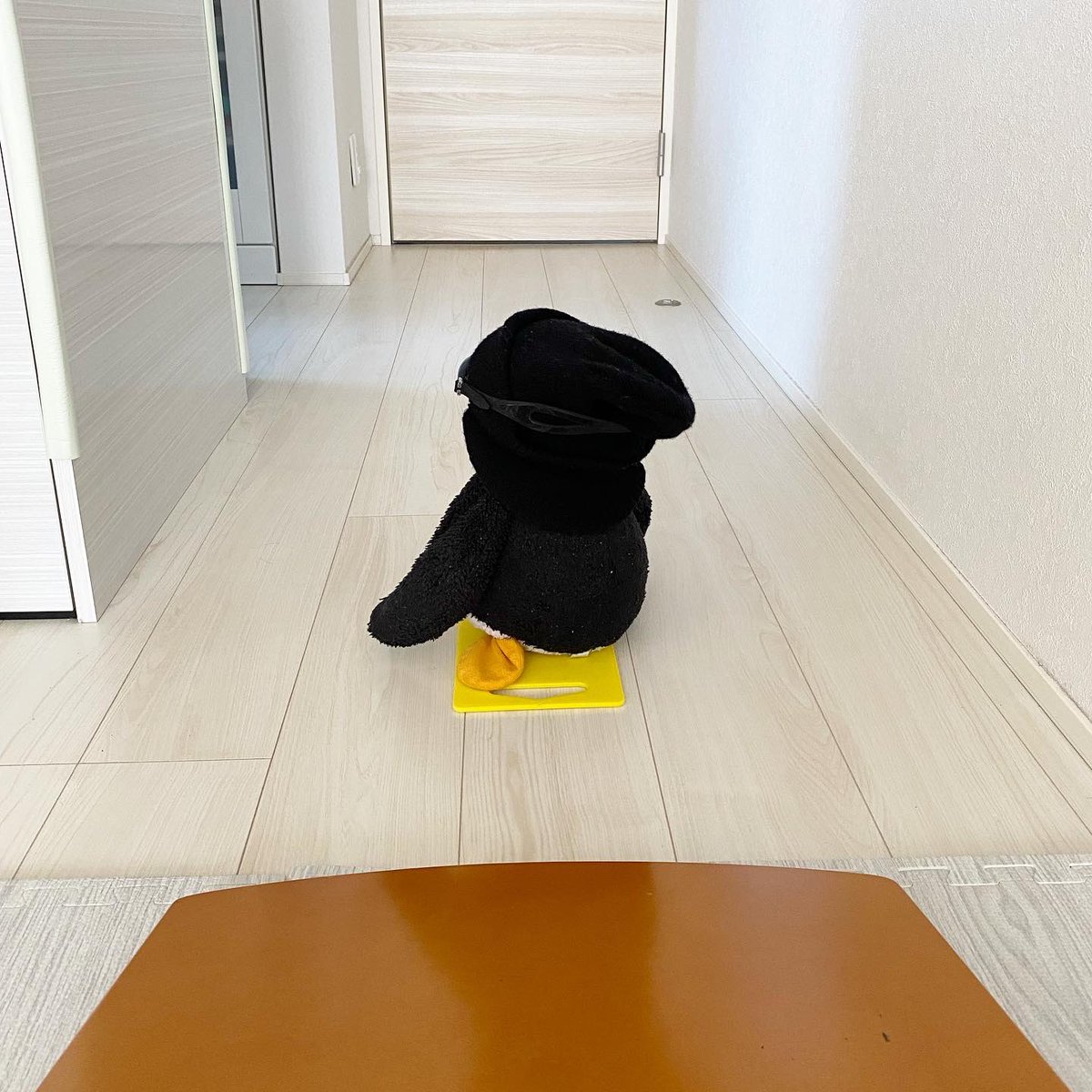 pingmyping's tweet photo. 🐧😎🏂 https://t.co/TKUTjjZtJf