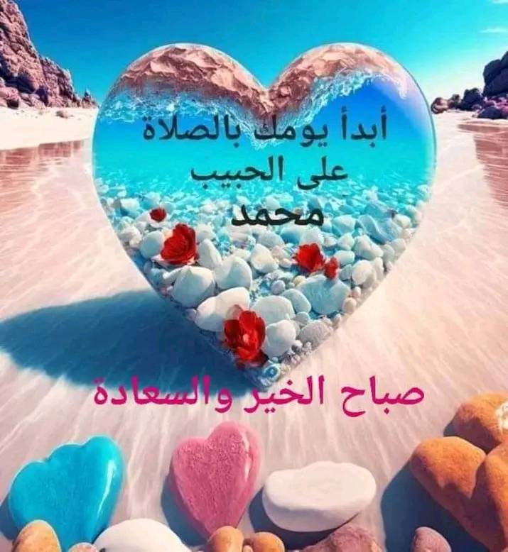 @علي @ tweet media
