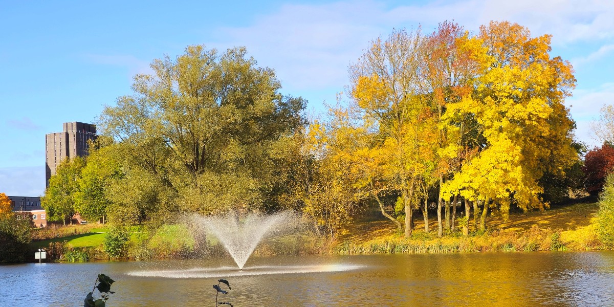 There's just something special about the Autumn colours on our Colchester Campus.