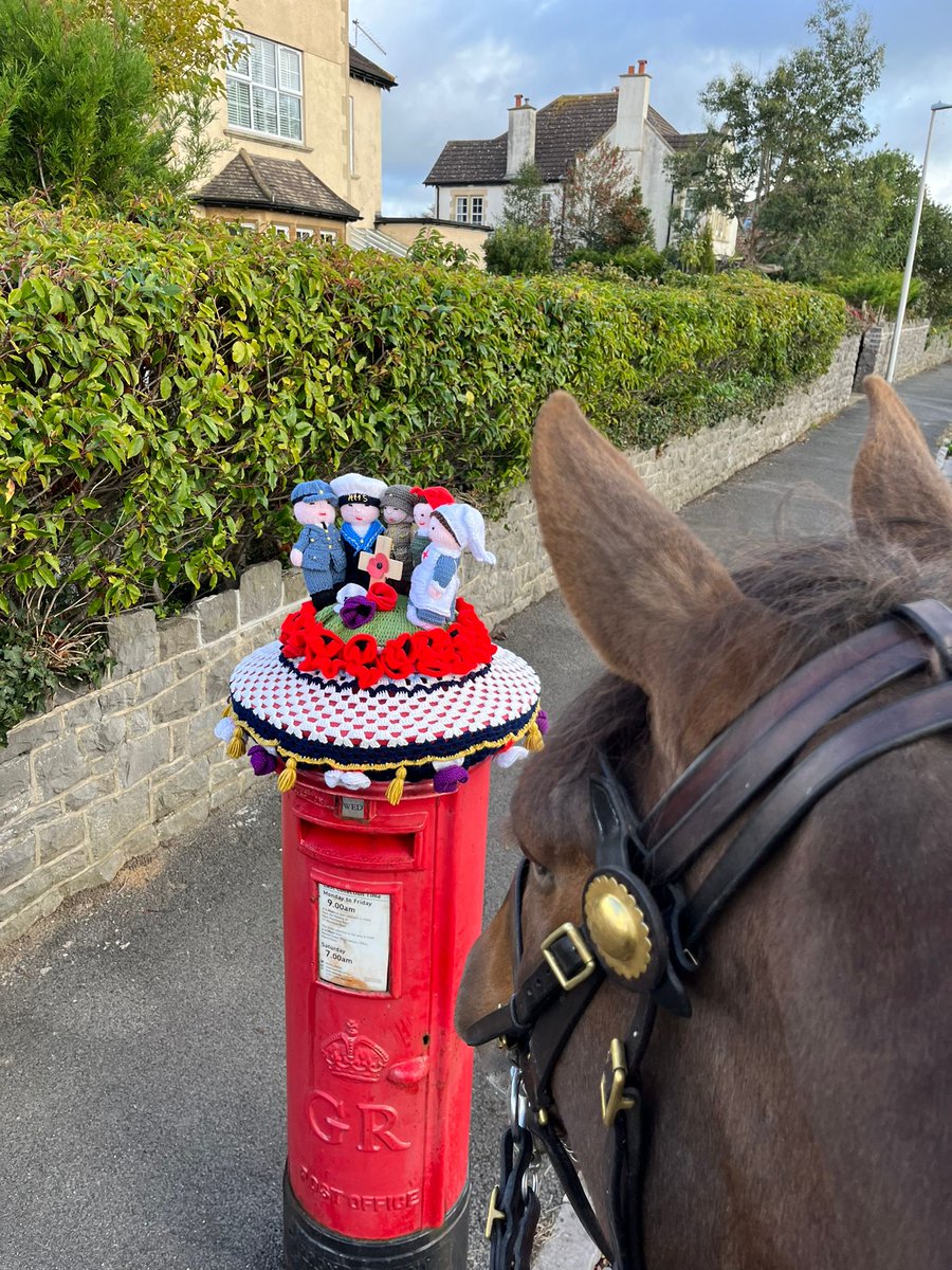 Redcliffe simply had to stop and admire this work out art whilst out on his patrols today! 🐴🧶 #lestweforget #mountedpatrols