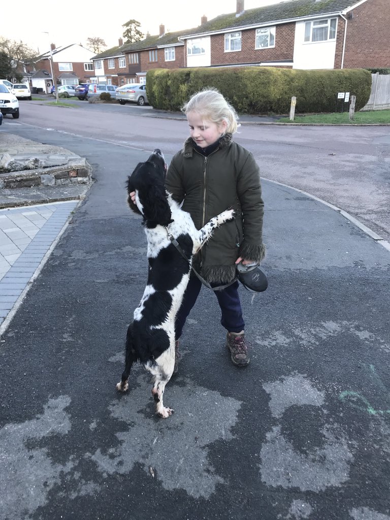 K9Finn's tweet image. It hasn’t just affected me, my poor family has suffered through all of this too 🐾💙
Having to tell my kids the news as it all unfolded has been heart reaching 😞🐾
Poor Pearl 🐾
#policedogs #Pearl #Spaniel #spaniels #springer #rainbowbridge