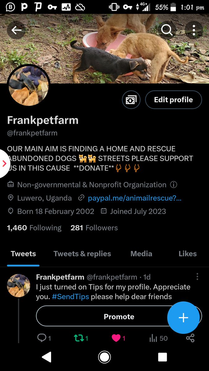 frankpetfarm's tweet image. Please follow our account so that we can get enough food for beautiful souls please donate via Paypal link in bio please may God bless you abundantly