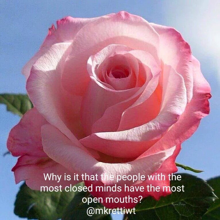 mkrettiwt's tweet photo. #closedminds
#openmouths https://t.co/ZVLlfvLaK6