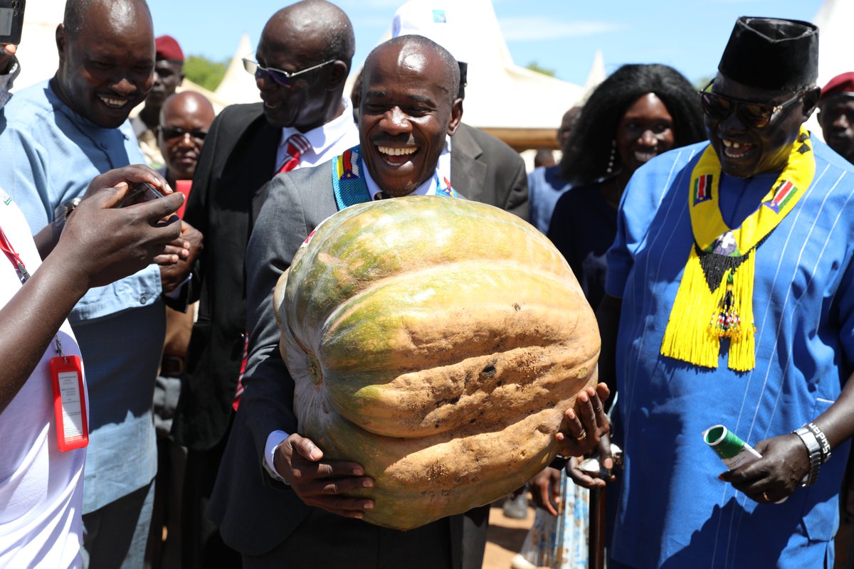 Big Bigger Biggest! Torit agricultural show, which ended yesterday, witnessed some of the best farm produce on display this year. FAO Rep Meshack Malo is seen here lifting a gigantic pumpkin, while Minister of Livestock and Fisheries Hon Onyoti Adigo watches on.