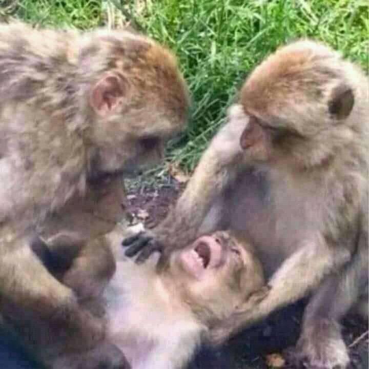 OusmaneBen04's tweet image. #Puits Pro Max 😭😭😭