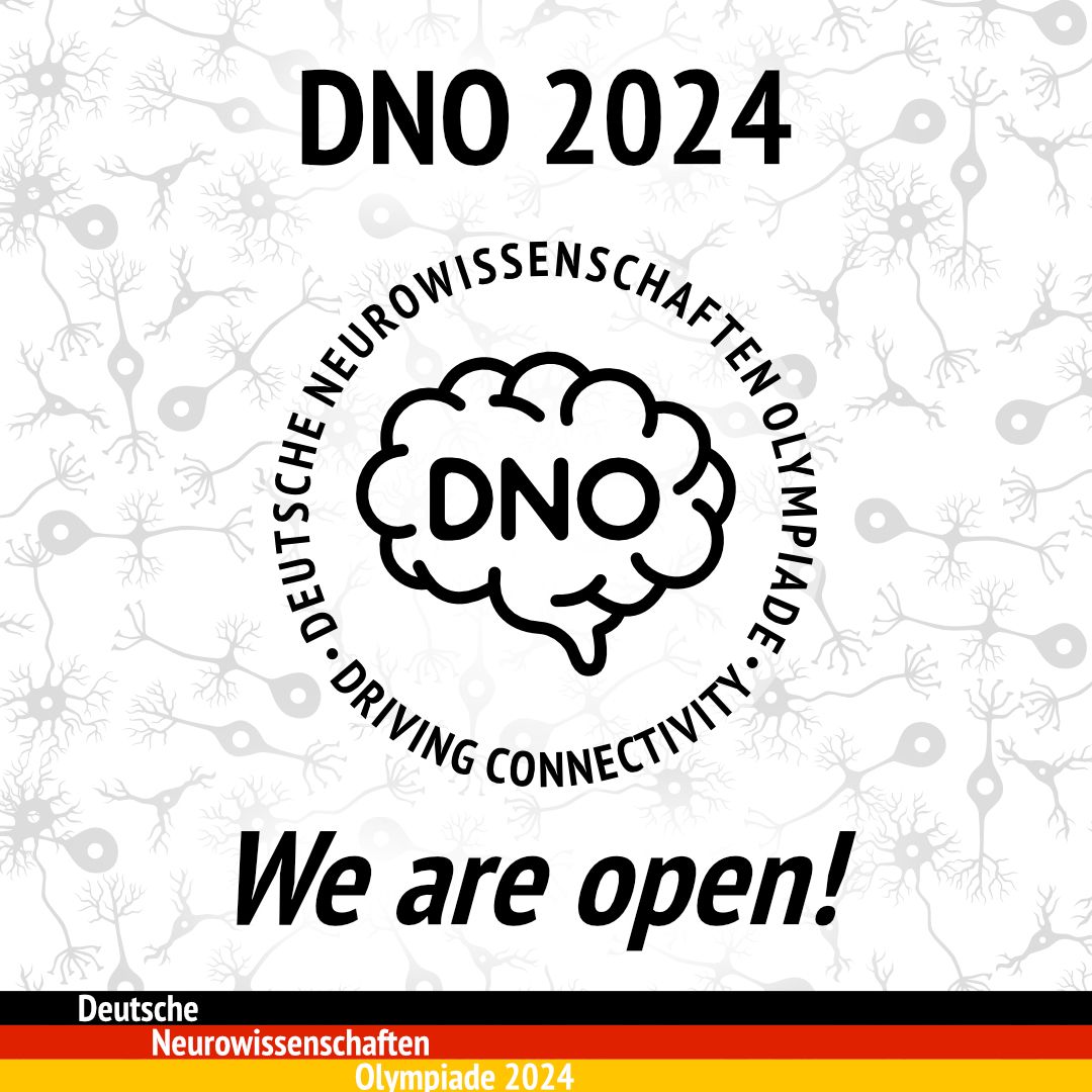 WE ARE BACK! Season 2024 is open, Registration Portals for our three location Berlin, Bonn and Heidelberg are open. Spread the word!
#neuroscience #DNO2024 #deutscheneurowissenschaftsolympiade