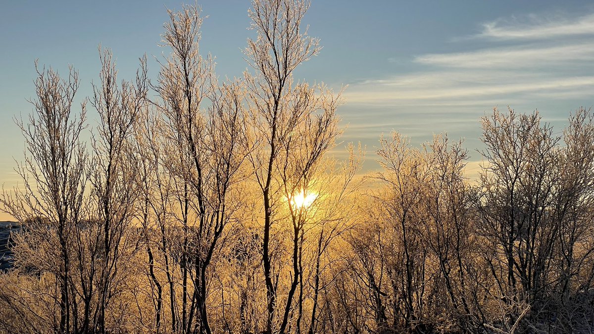 God helg fra Kirkenes i 14 minus 😊