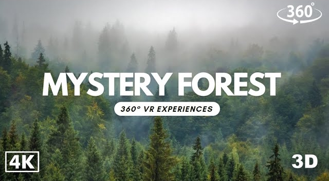 We create VR experiences of Wales 🏴󠁧󠁢󠁷󠁬󠁳󠁿 #glamping  🎪the Welsh Coast 🌊 Autumn 🍂 and of the forest 🌲

Experience them all here: youtube.com/@virtualgeoque…