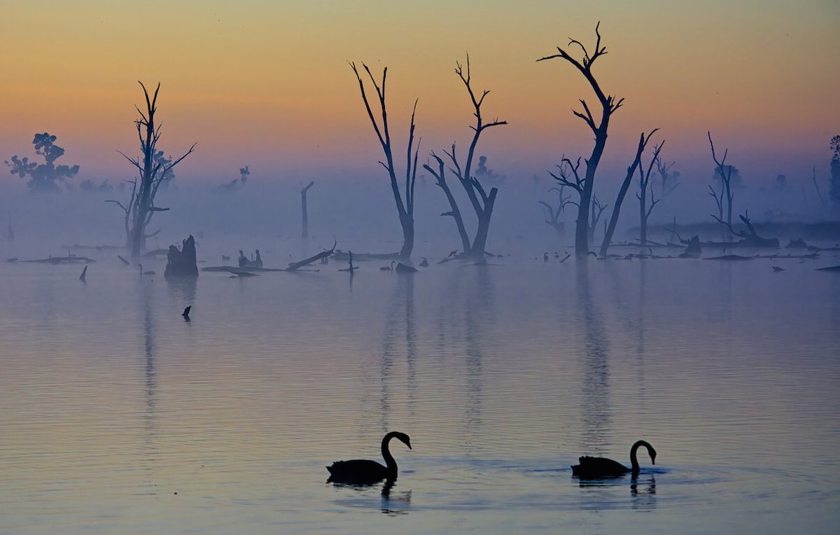 @xobreex3 Lake Mulwala Victoria Australia