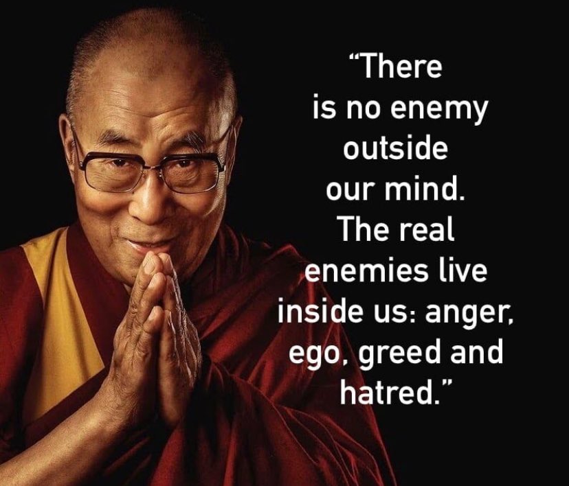 Within ourselves, there is no enemy but our own emotions: anger, ego, greed, and hatred. To overcome, we must first understand and master them

#InnerPeace #EmotionalMastery #SelfTransformation