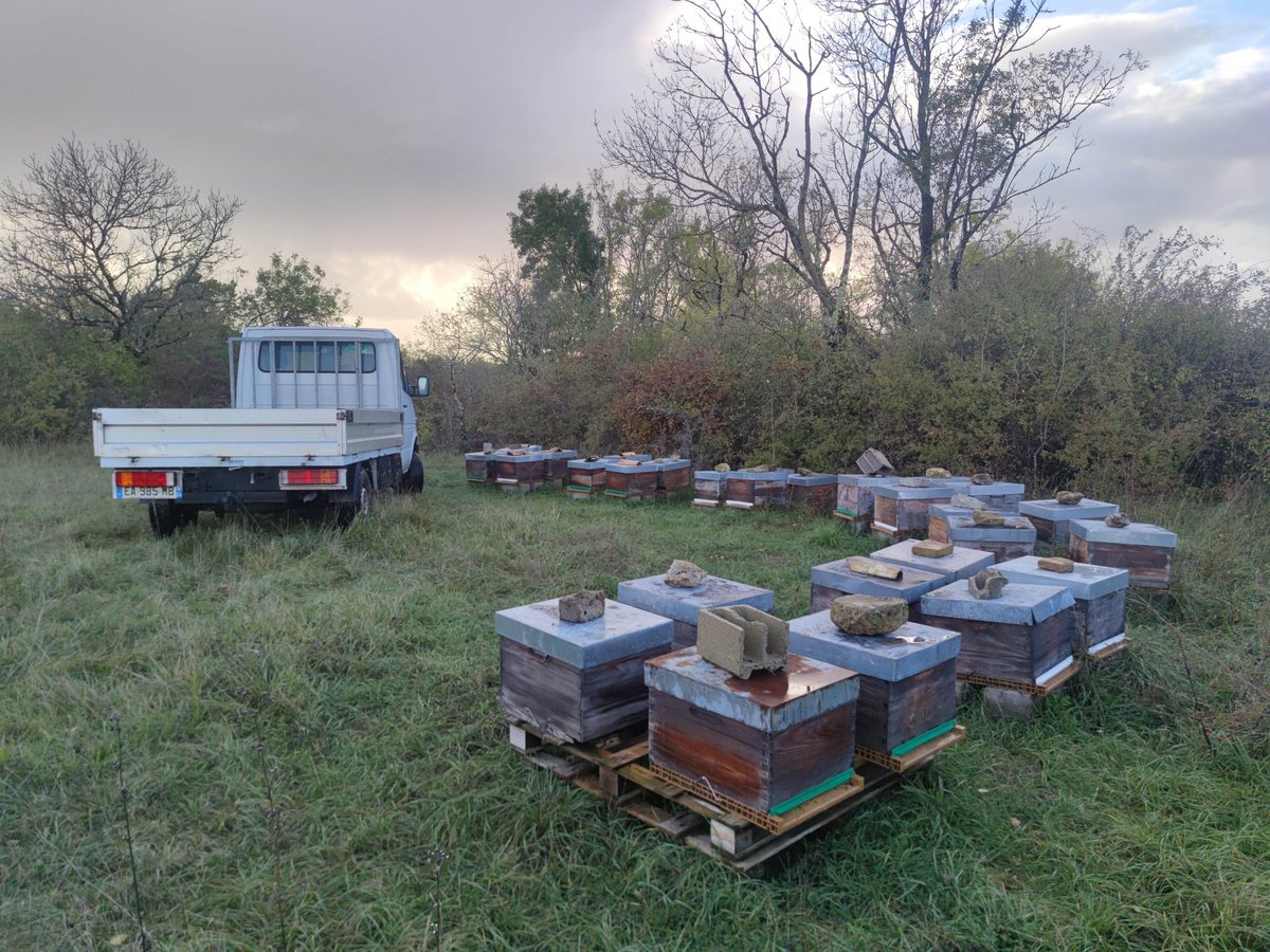 Protection des ruchers avant la tempête 🤞