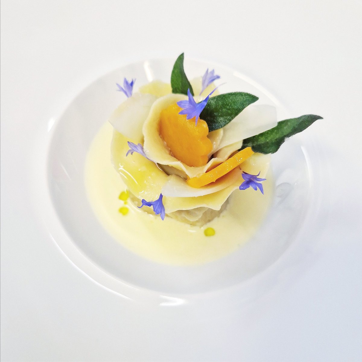 Pappardelle / pumpkin / sage / pecorino

Poached filled &amp; rolled pumpkin pappardelle, sage veloute, finished with pecorino &amp; cardinale olive 🫒 oil.
•
#passionate #chef #foodie #brigade #kitchenlife #chefslife #foodgloriousfood #textures #ingredients #lovefood #lovewhatwedo