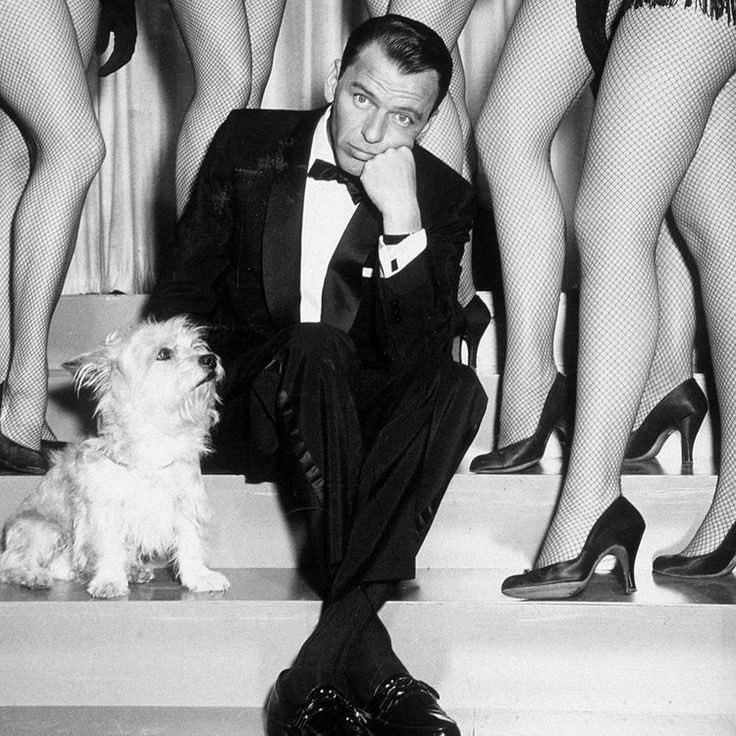 Oiconprints's tweet photo. “You make me feel so young
You make me feel so Spring has sprung
And every time I see you grin
I’m such a happy individual”

Frank Sinatra 👞
You Make Me Feel so Young released 1956 
Written by Mack Gordon &amp; Sammy Cahn 

#franksinatra #sinatra #singer #crooner #Legend https://t.co/Z8KtlQaa3J