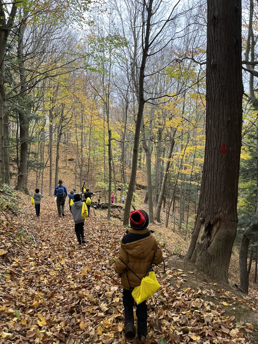aparkermcs's tweet photo. MES Outdoor Hiking Adventures mini-camp students had their big hike at Alasa Farms where there are several different hiking trails. One group hiked all the way to the Sodus Bay Lookout point.  Thank you @EllenMLloyd  and Mr. H for your help putting this camp together. 🍁🍂 https://t.co/gOKu7HzBAM