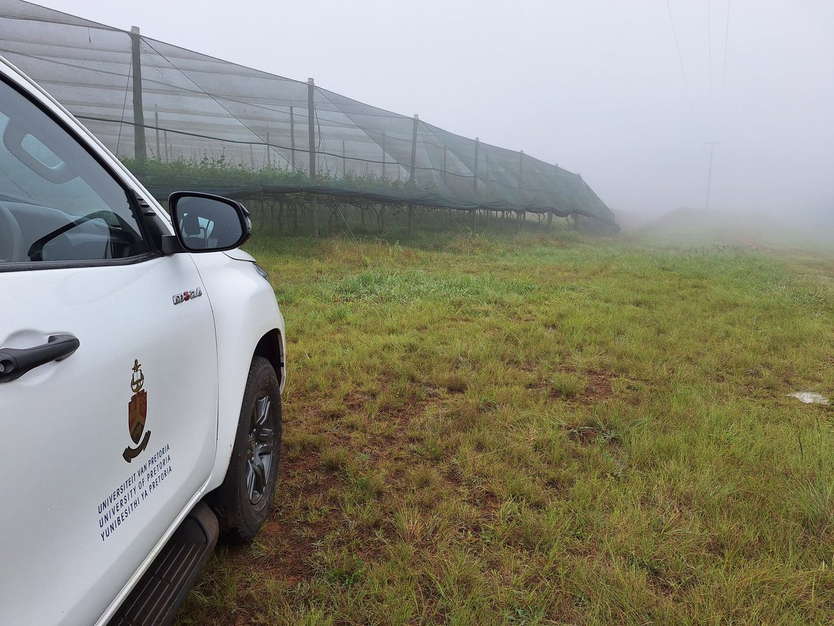 Cheyenne Theron tweet media