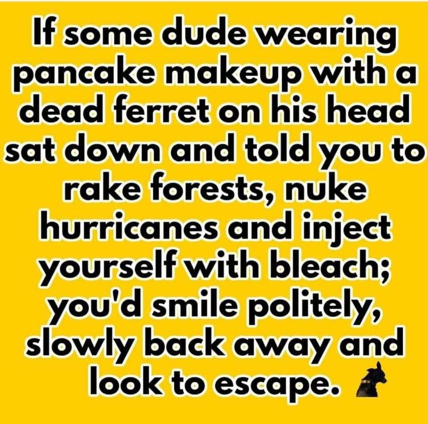 Run!  #MAGAts #MAGACult