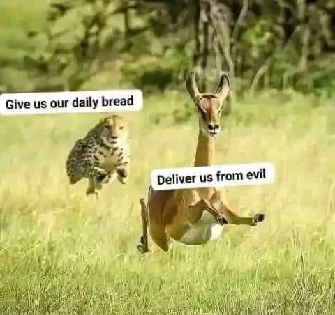 Don’t stop assumption, let’s assume you’re God, whose payer will you answer over the other?