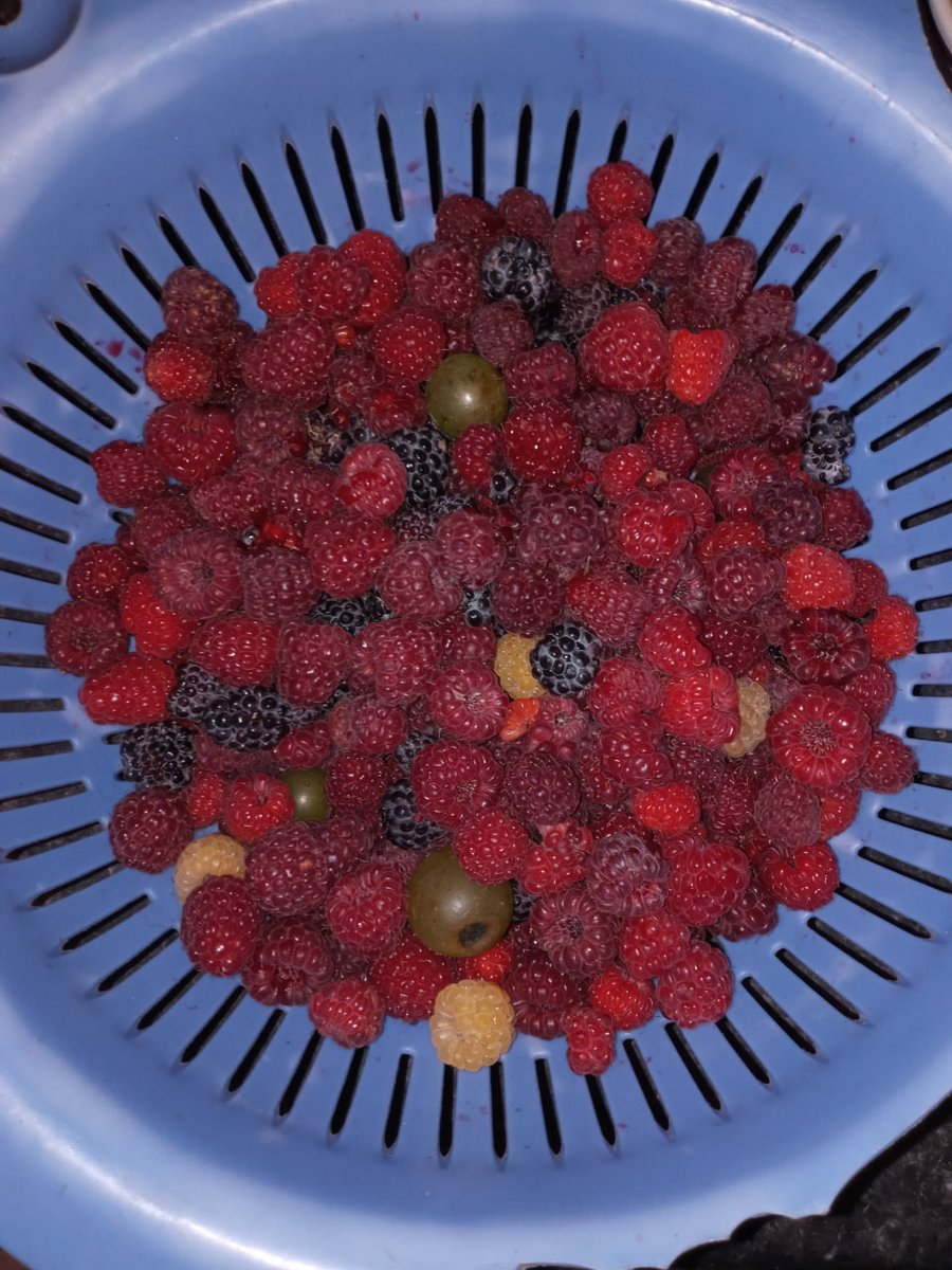 wady3321's tweet photo. It tastes great! But it’s too small and not enough to eat. https://t.co/bfCqU3VWf4