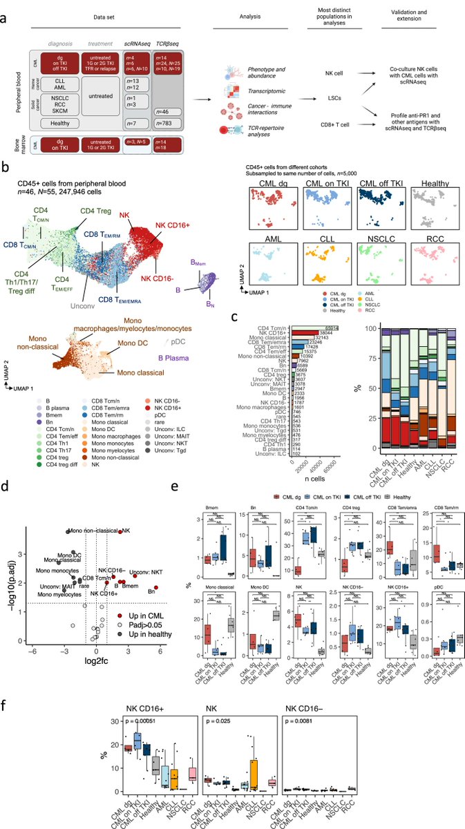"Active NK cells and anti-PR1 T cells could help maintain treatment-free remission in patients discontinuing tyrosine kinase inhibitor treatment for chronic myeloid leukemia." Outstanding work from Satu Mustjoki's group in Helsinki.
nature.com/articles/s4137…