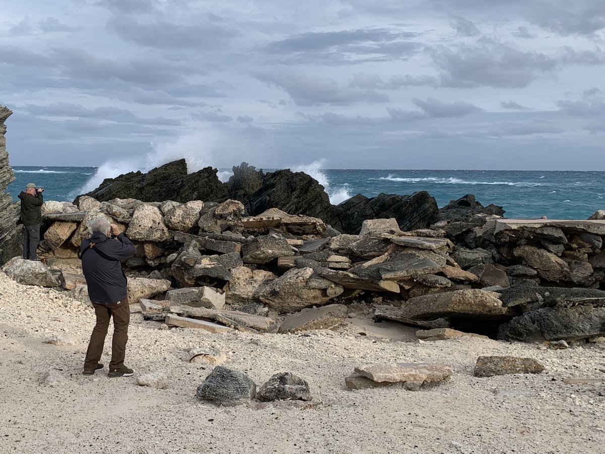 Seabirding ~ Kate Sutherland tweet media