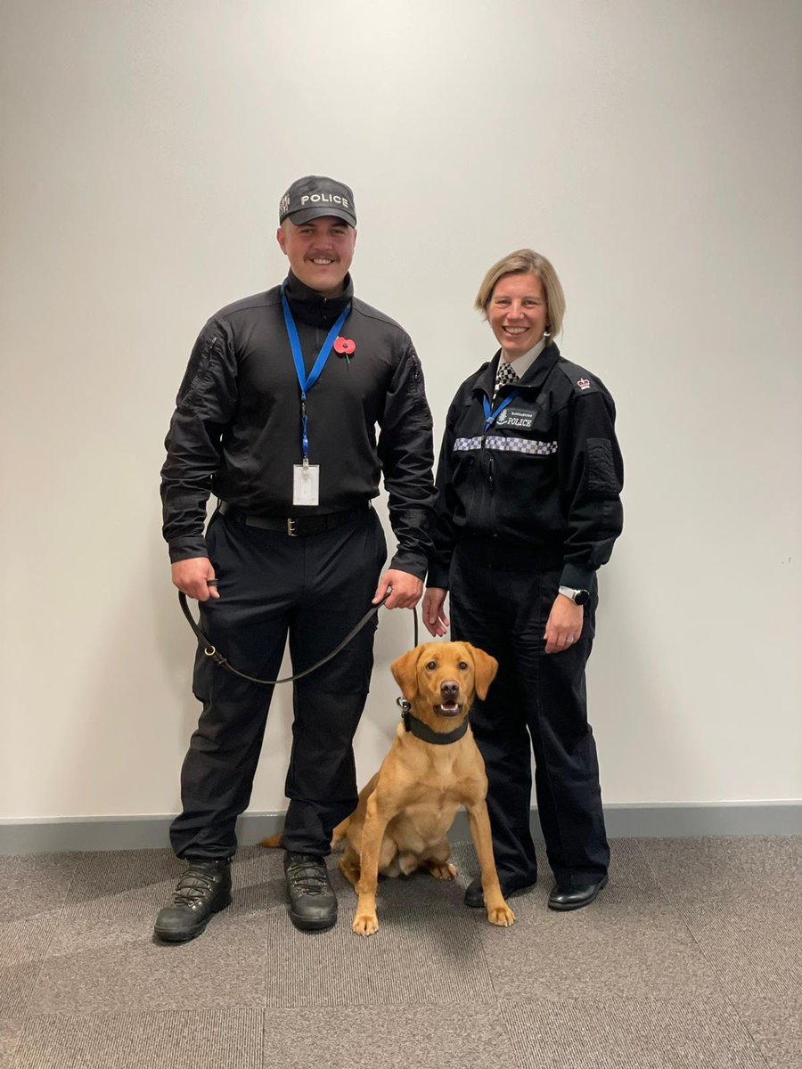 HPDogSection's tweet photo. ⚠️🚨 Welcome to @Humberbeat newest pawficers PD Beale, PD Hamilton, PD Sunshine, PD Sapphire and PD Lilibet. They are specialist Drugs / Cash / Weapon detection dogs who will be vital in assisting their colleagues keep our communities safe 🚨⚠️ https://t.co/M482c7YBDq
