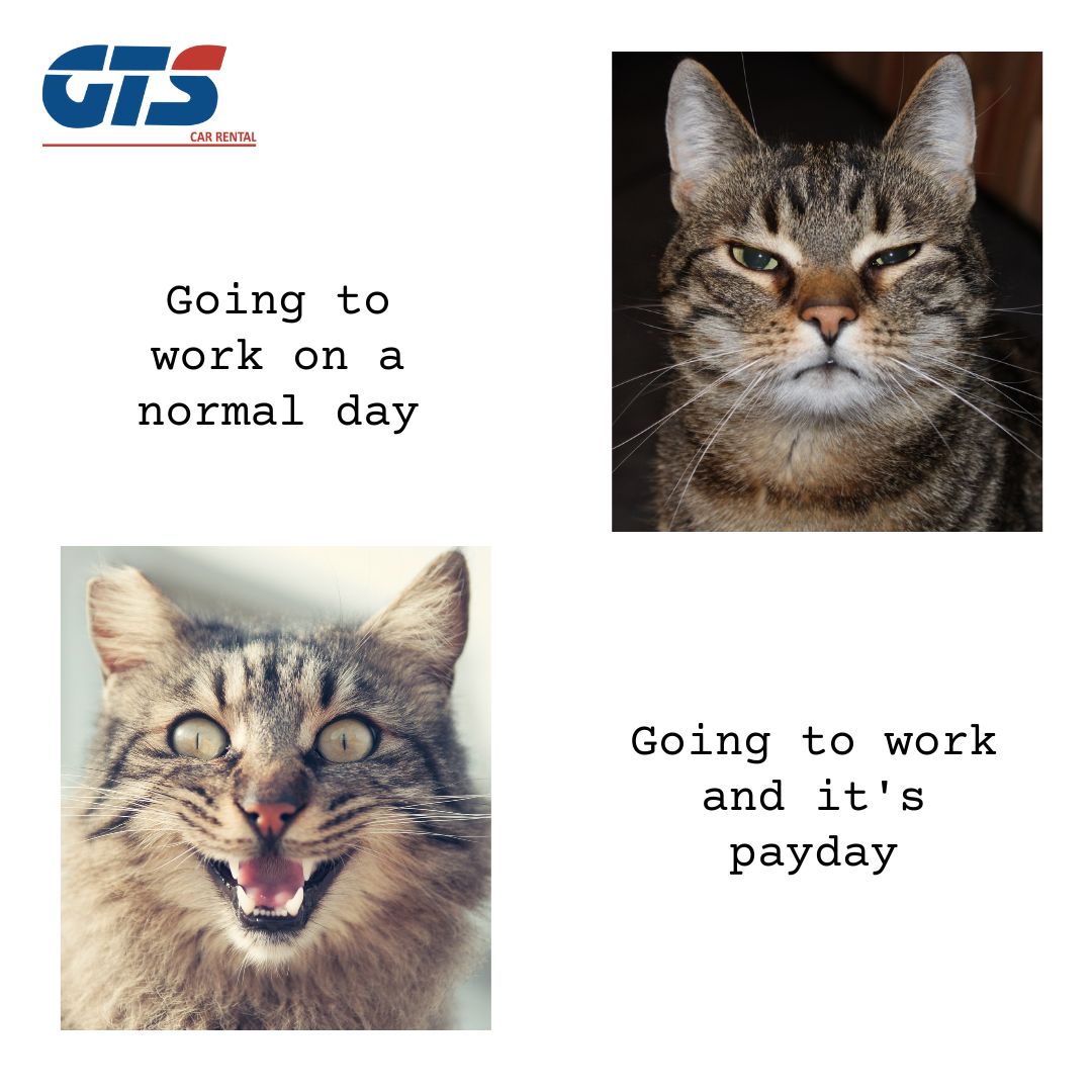 gtscab's tweet photo. Difference between going to work a Normal day / Payday
.
#payday #normalday #todaypayday #memes #todaymemes #bestmemes #paydaymemes #memesoftheday #Terroristattack #DunkiDrop1 #HrithikRoshan #21YearsOfVillain #GunturKaaram #Tabu #hinannateaser https://t.co/YlNcTPj6i2