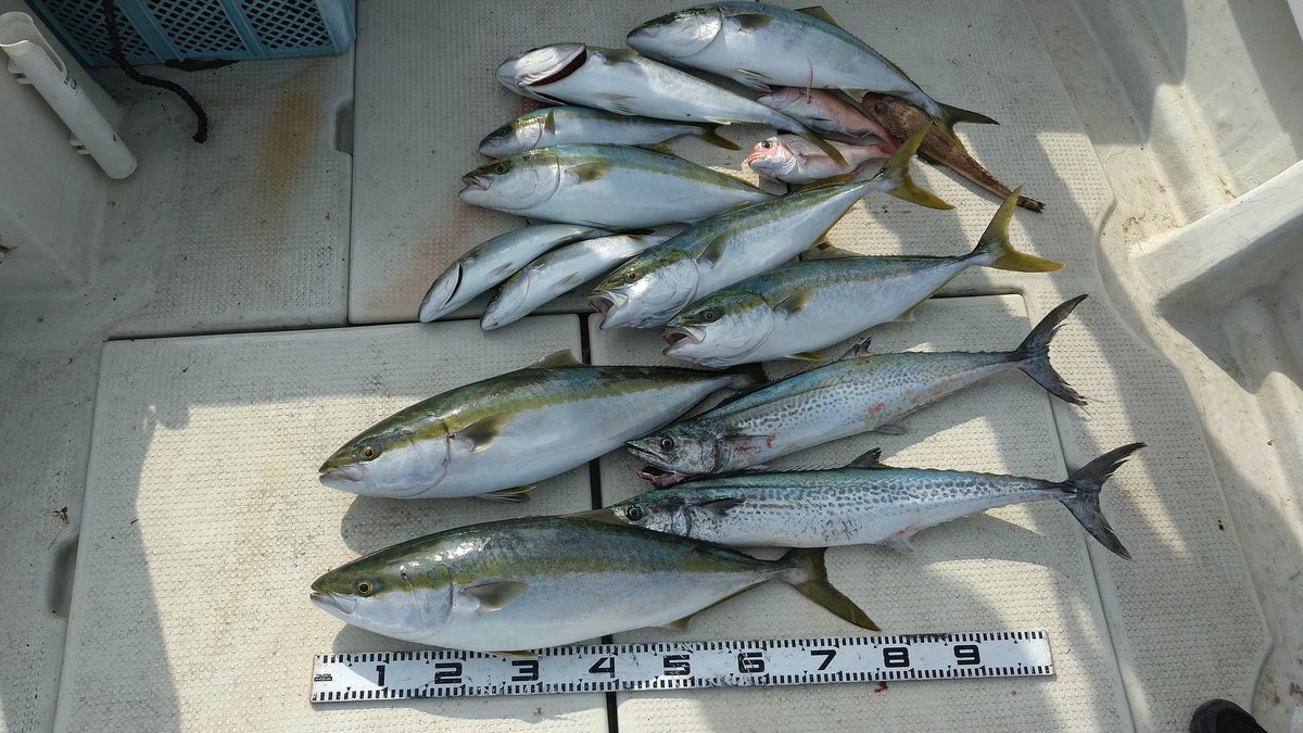 今日はなんとかカタチになりました