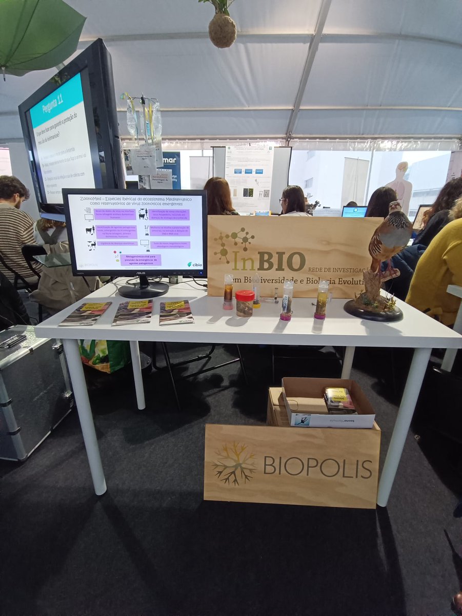 ZoonoMed project tweet media