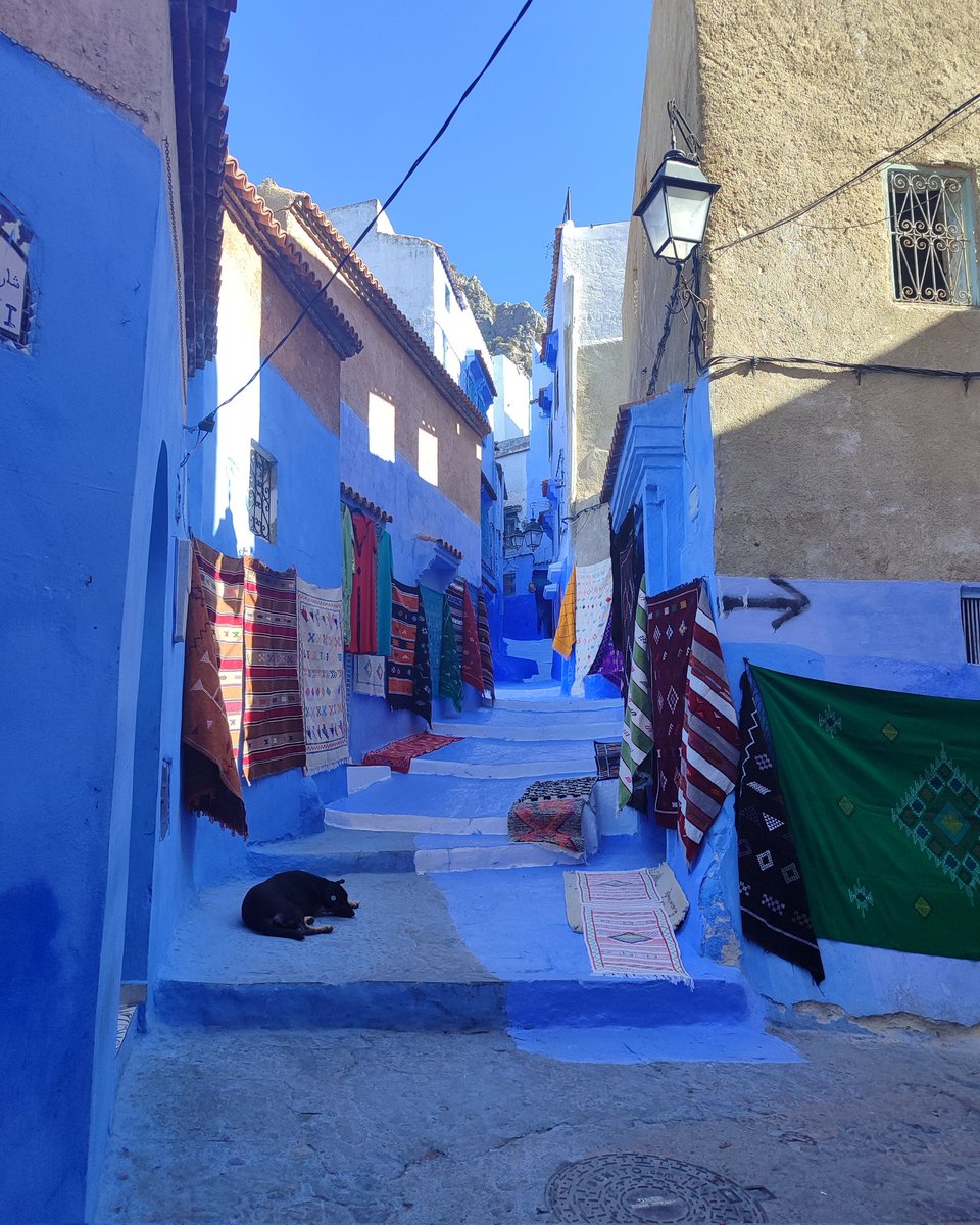 sahara_morocco's tweet photo. #chefchaouen #northmorocco #rifmountains #jbalrif 🇲🇦
.
https://t.co/yjzHMHGeFe 
.
#sahara_tours_morocco 
#visitmorocco https://t.co/QfgJMOc4y0