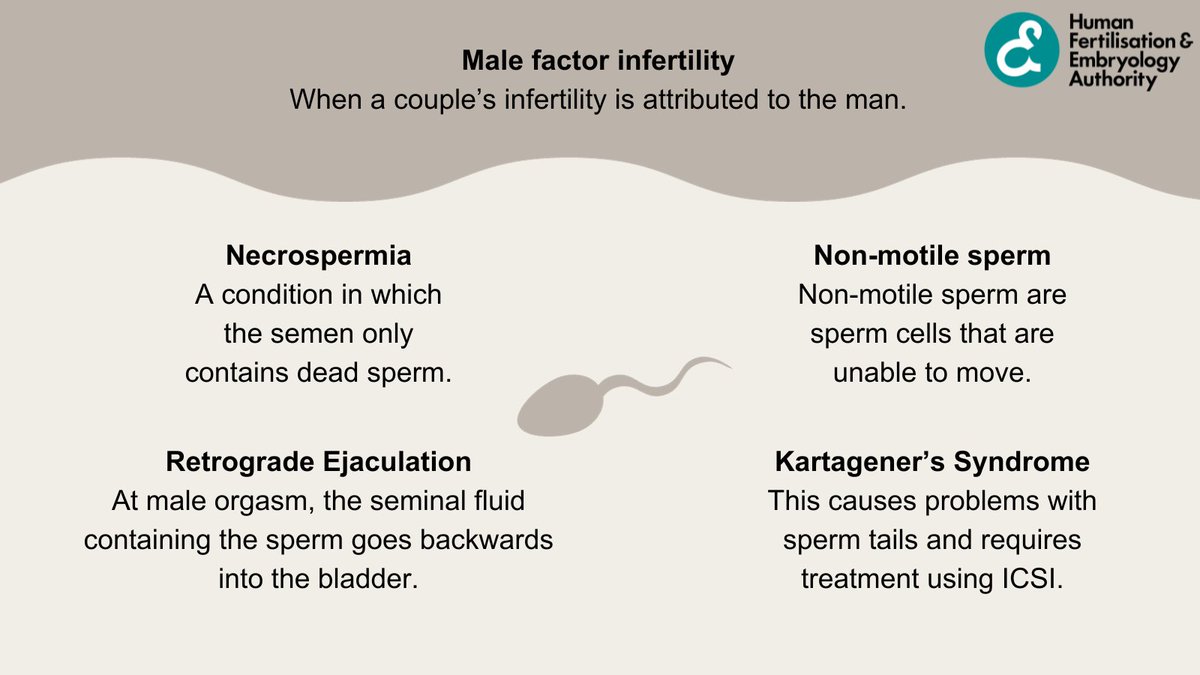 Male factor infertility can be a reason why couples are struggling to conceive. There are many different conditions which can affect male fertility, some of these are listed above. Visit our website for more information on treatment option: hfea.gov.uk #HIMFertility