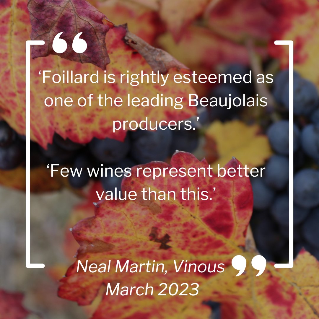 BancroftWines tweet media