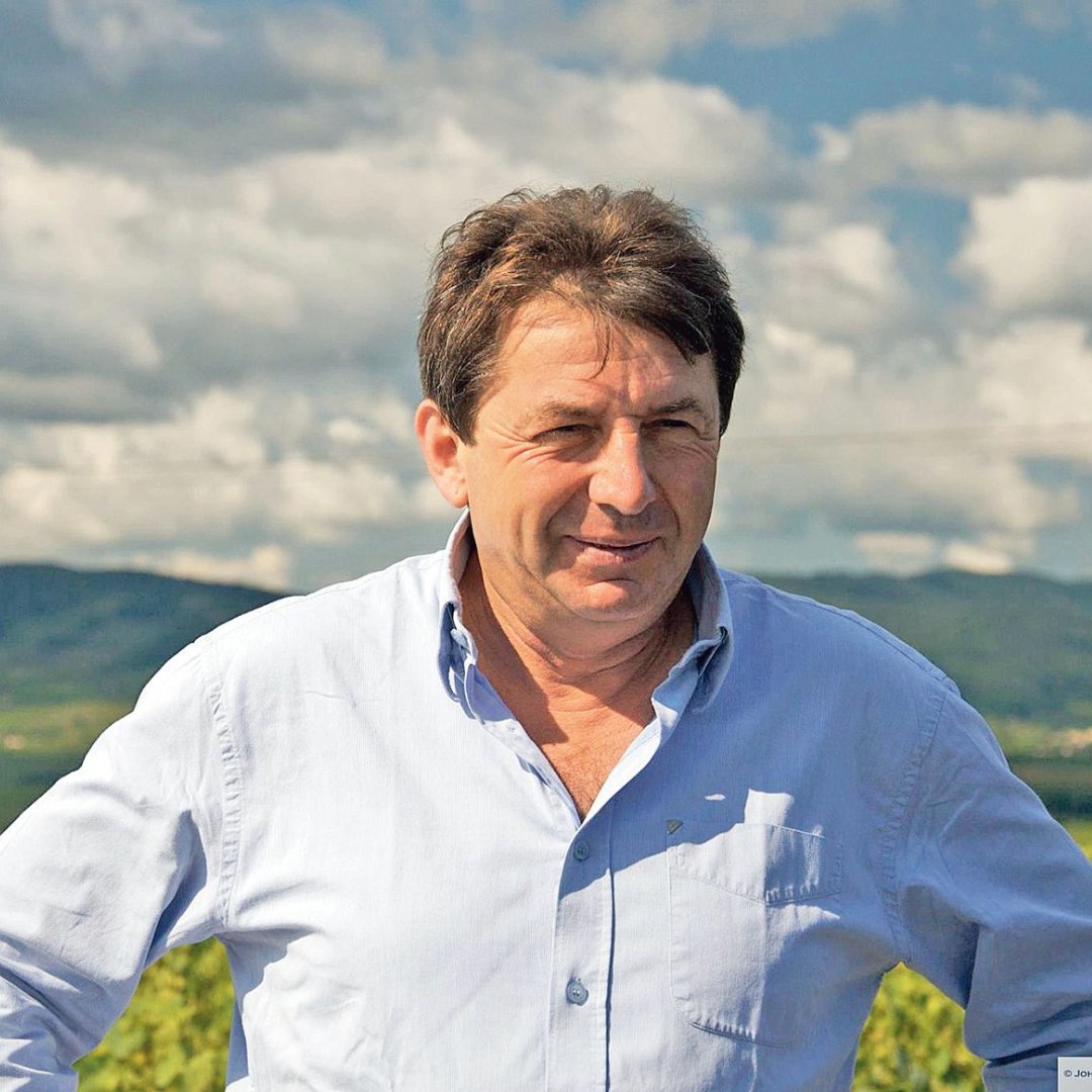 BancroftWines tweet media