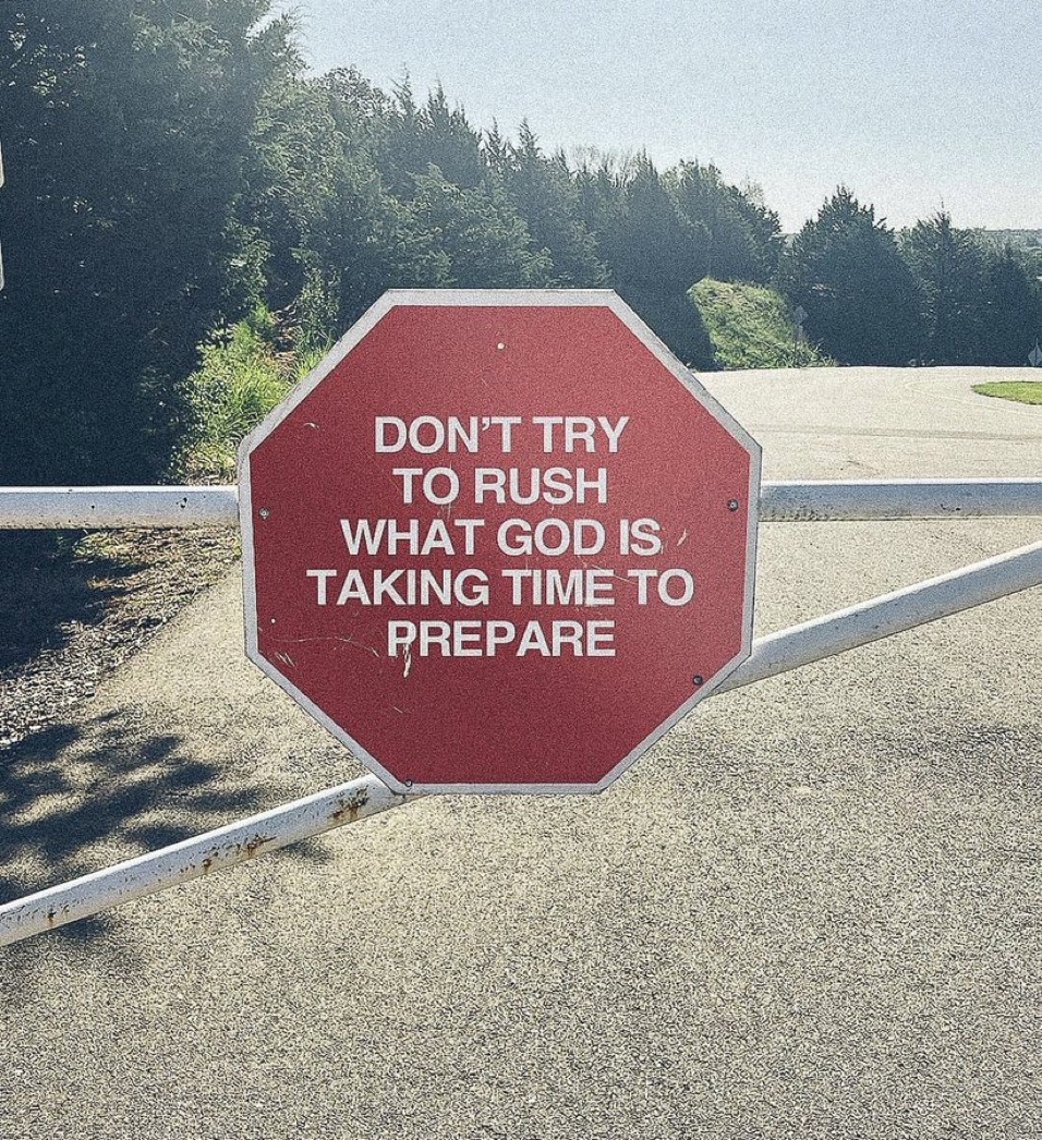 Art0fLife_'s tweet image. 