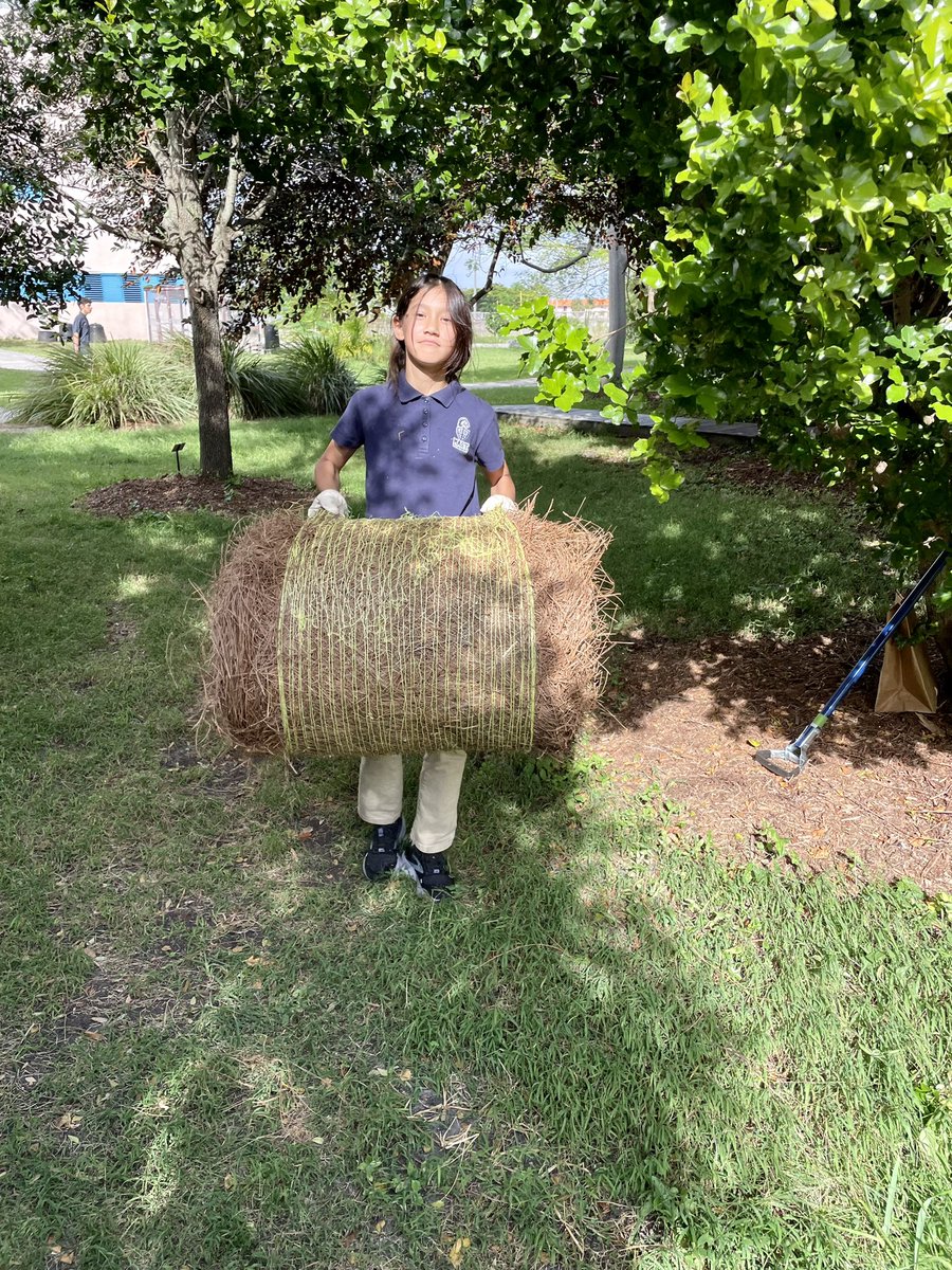 andrewkearns64's tweet photo. #GreenClub in action Friday afternoon in our @josemartimast #nativearboretum! Cleared our pine rockland section and itβs looking good! ππΏ#mast2324 @FairchildGarden @fl_native_plant @DadeFNPS @MDCPSSTEAM @STEAMDesignated @SMdcps @MDCPSCommunity @SuptDotres https://t.co/jzKfKEC3DP